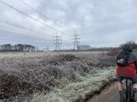 IMG_2976.jpeg