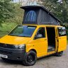 Yellowswamper