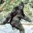Sasquatch