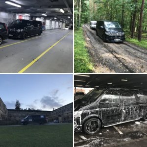 My T6