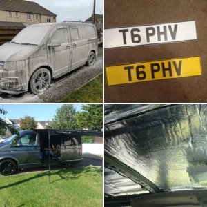 T6 PHV