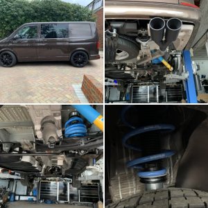 Chestnut Black Mk2