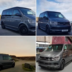T6