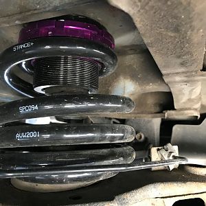 Stance Coilovers