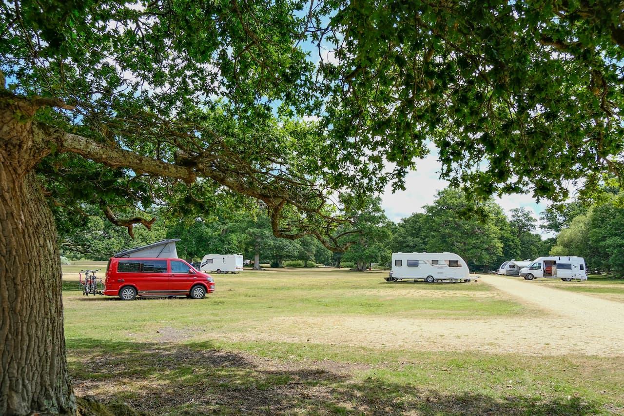 www.campinginthenewforest.com