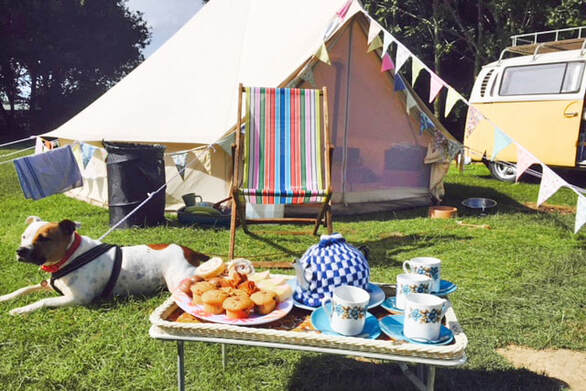 www.brookmeadow.co.uk