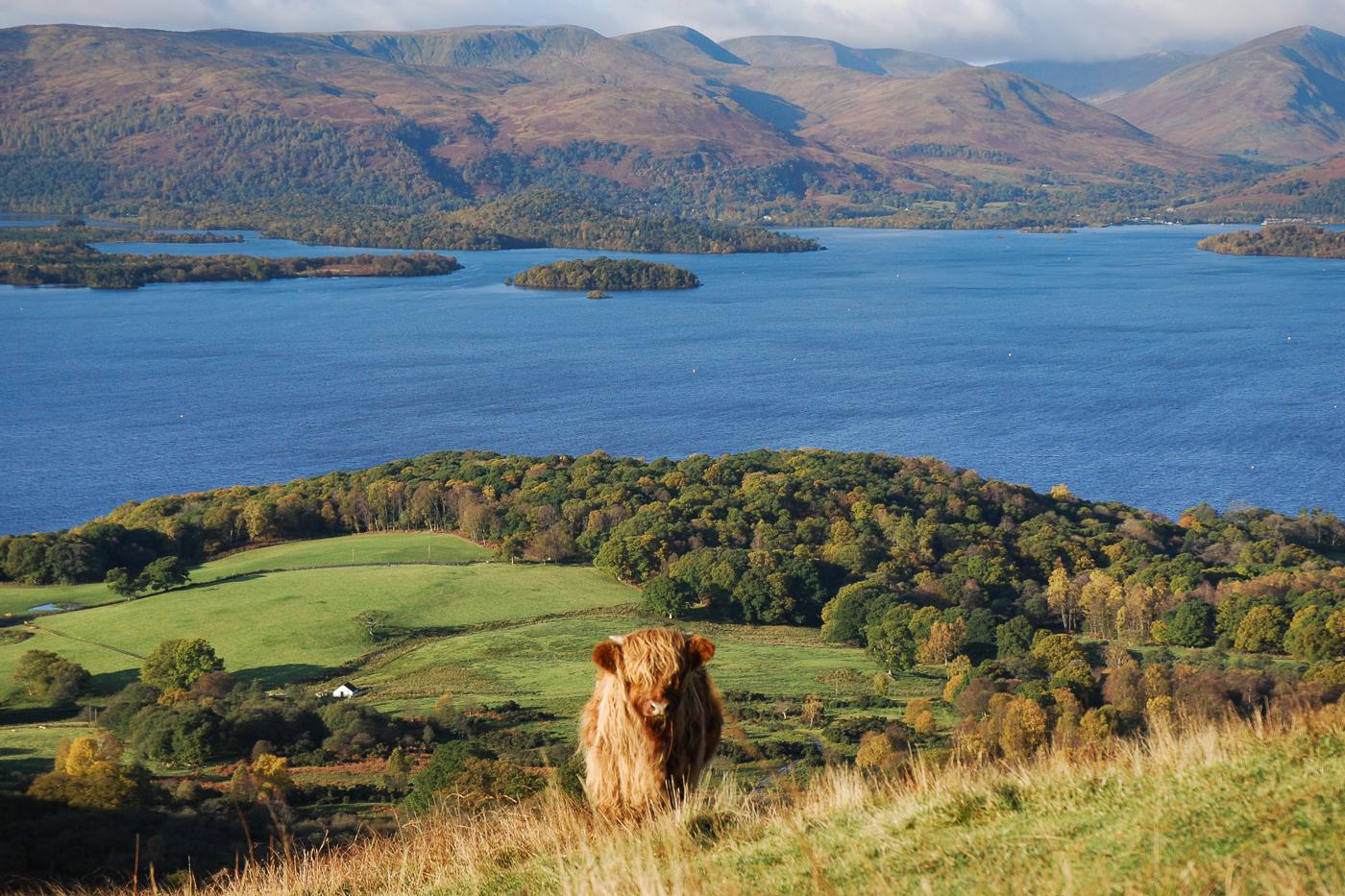 www.walkhighlands.co.uk